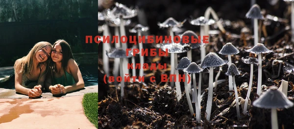 COCAINE Богородицк