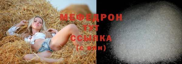 индика Тында