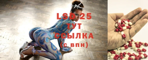 индика Тында