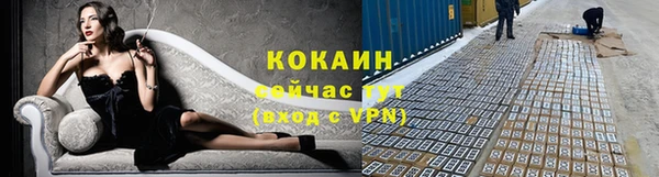 прущие крисы Богданович