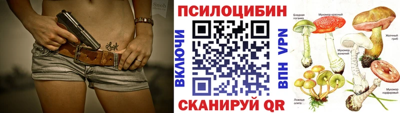 где продают наркотики  Выкса  Галлюциногенные грибы Cubensis 